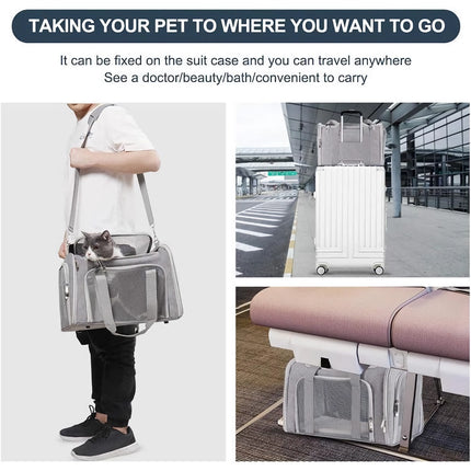 Sac de transport pour animaux de compagnie approuvé par les compagnies aériennes pour petits chiens et chats