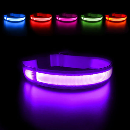 LED Safety Dog Collar - Wnkrs