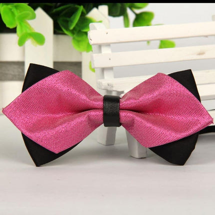 Elegant Pointed Bow Tie - Wnkrs