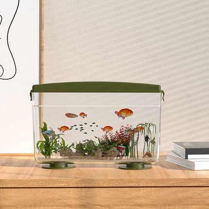 Aquarium de bureau écologique simple 