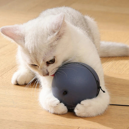 Pelota de juguete inteligente con ruedas automáticas para gatos