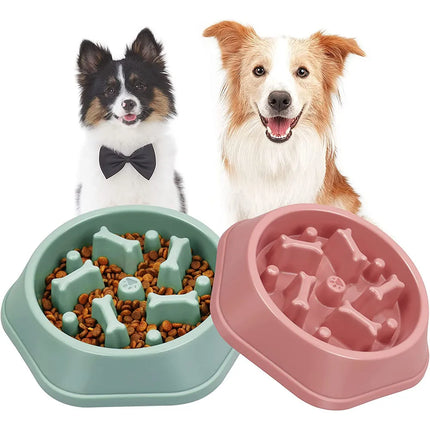 Gamelle pour chien à alimentation lente