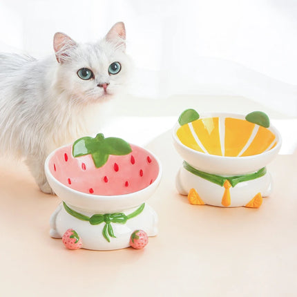 Ceramic Cat & Dog Bowl with Neck Protection