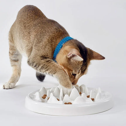 Bol en céramique pour manger lentement