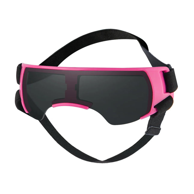 Lunettes de soleil pour petits chiens