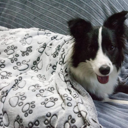 Couverture douce et chaude pour chien avec un joli imprimé de patte