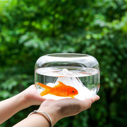 Mini bocal à poisson en verre 