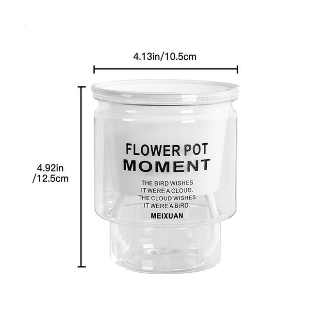 Jardinière transparente auto-arrosante pour plantes succulentes