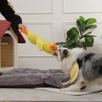 Jouet interactif pour chien en forme de canard avec couineur