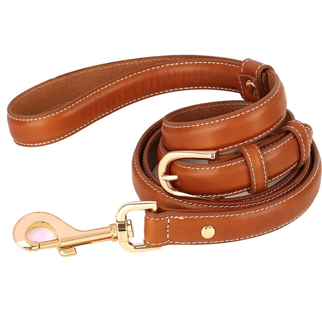 Correa ajustable de cuero genuino para perros de todas las razas