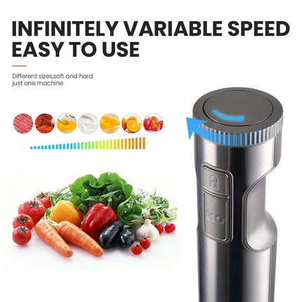 Powerful 4-in-1 Hand Immersion Blender