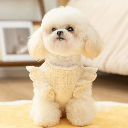 Gilet chaud en dentelle pour petits chiens