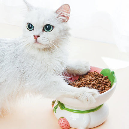 Gamelle en céramique pour chat et chien avec protection du cou