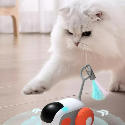 Interactive Gravity Sports Car Remote Control Cat Toy - Wnkrs