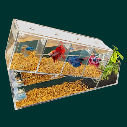 Élégant aquarium en acrylique pour poissons Betta