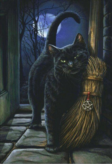 5D Diamond Painting Cat And Broom, Full Embroidery, Art, - Wnkrs