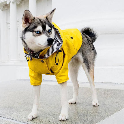 Imperméable pour chiens de taille moyenne et grande