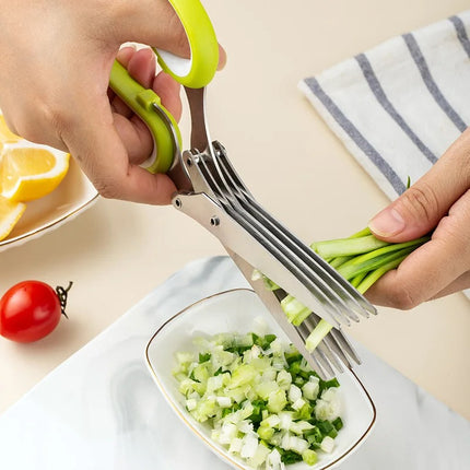 Ciseaux à herbes en acier inoxydable à 5 lames avec brosse de nettoyage