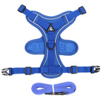 M / Bleu