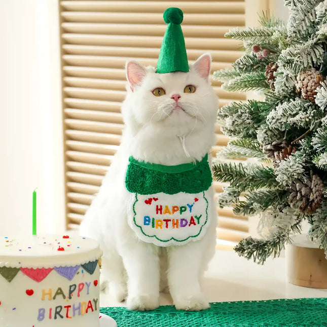 Encantador conjunto de pañuelo y sombrero para cumpleaños de mascotas