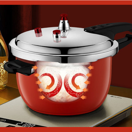 Pressure Cooker Stainless Steel Household Gas Induction Cooker - Wnkrs