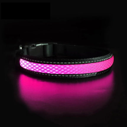 Nylon Dog Collar Flash Night Safety LED Glow Waterproof - Wnkrs