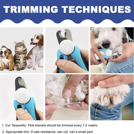 Coupe-ongles pour animaux de compagnie en acier inoxydable avec protection de sécurité et lime à ongles gratuite - Parfait pour les chiens de taille moyenne et grande