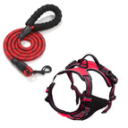 M / Red