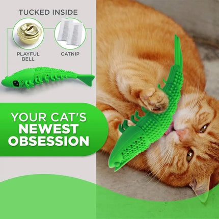 Jouet interactif pour brosse à dents pour chat