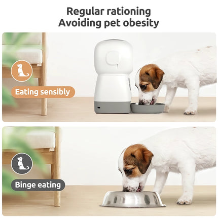 Distributeur automatique intelligent pour animaux de compagnie de 3,5 L