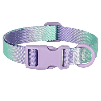 Collier pour chien en nylon à imprimé coloré