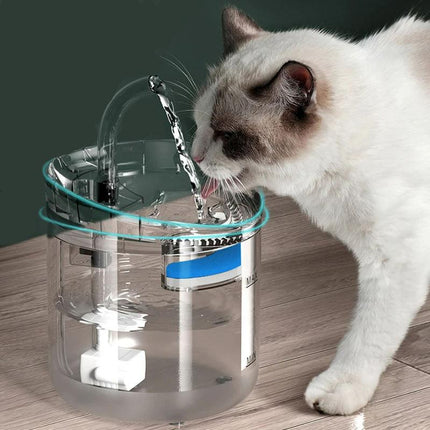 Fontaine à eau automatique pour chat avec capteur de 2 L