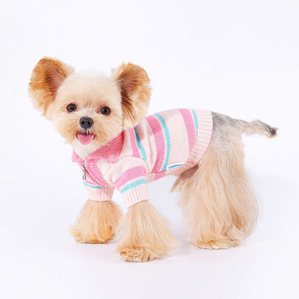 Pull tricoté confortable pour chien