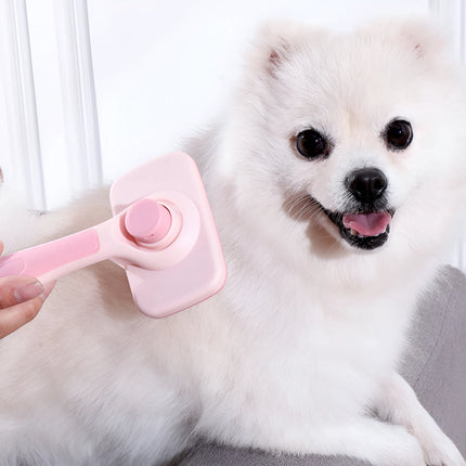 Brosse de toilettage pour animaux de compagnie avec peigne à aiguilles en acier inoxydable