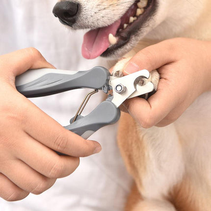 Coupe-ongles et ciseaux de toilettage en acier inoxydable pour chats et chiens