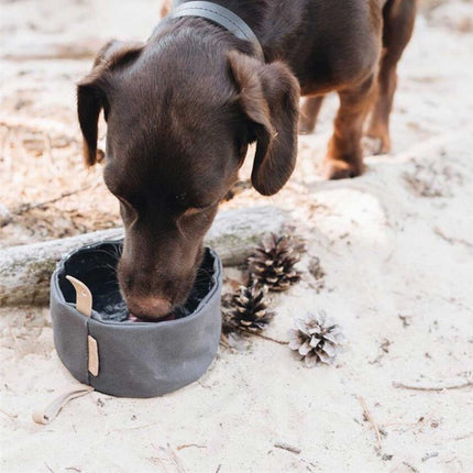 Gamelle pliable en toile imperméable pour chien de 1 000 ml