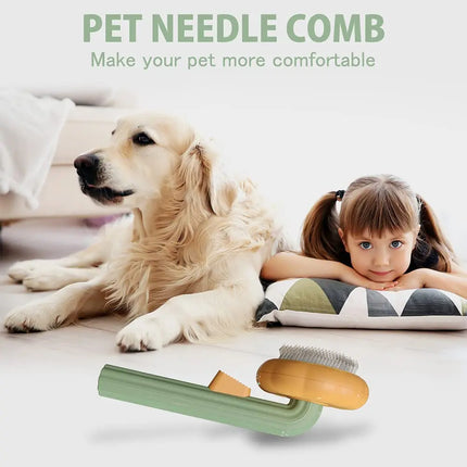 Brosse pour animaux de compagnie en forme de citrouille pour chiens et chats