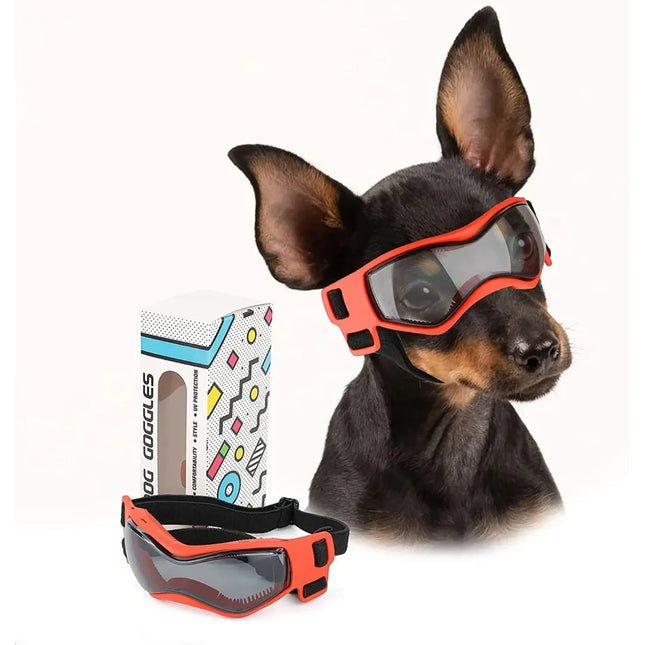 Gafas para perros con protección UV