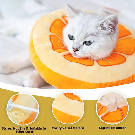 Collier élisabéthain réglable en forme de fruit pour chat et chien