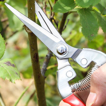 Sécateur de jardinage en acier inoxydable de haute précision pour fruits et bonsaïs