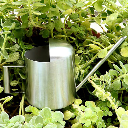 Regadera de acero inoxidable para plantas de interior y exterior – Caño largo de 300 ml