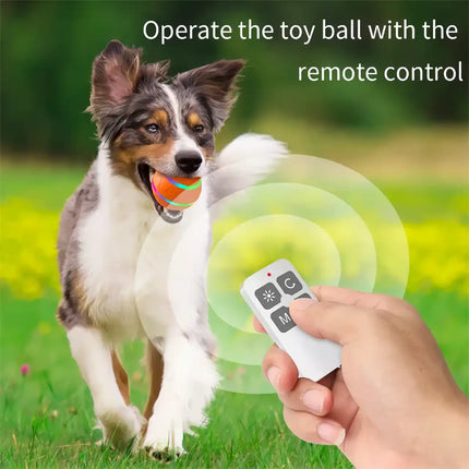 Balle interactive télécommandée pour animaux de compagnie