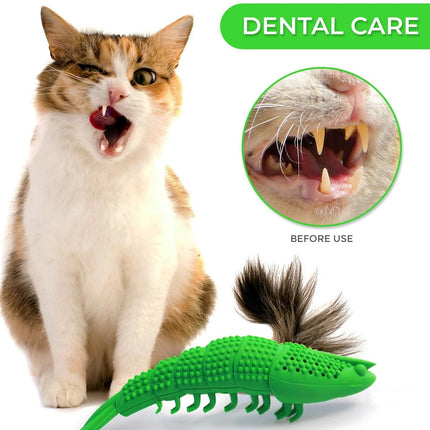 Jouet interactif pour brosse à dents pour chat