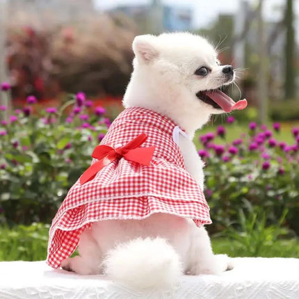 Robe de princesse pour chien