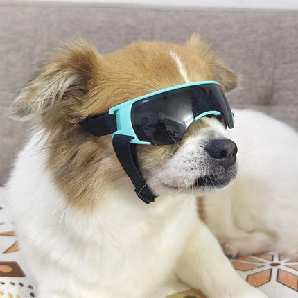 Lunettes de soleil pour petits chiens