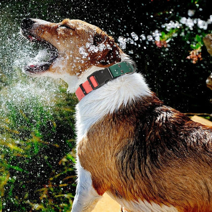 Collier pour chien en PVC imperméable