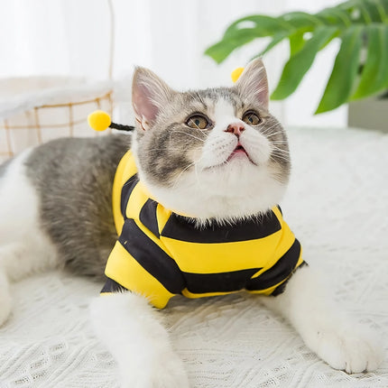 Sweat à capuche inspiré des abeilles pour chats et petits chiens - Élégant et confortable