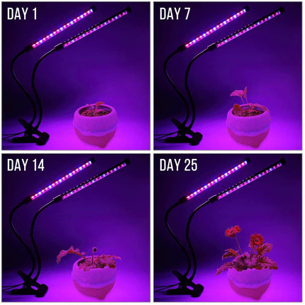 USB LED Indoor Plant Grow Light with Timer & 10 Dimmable Levels