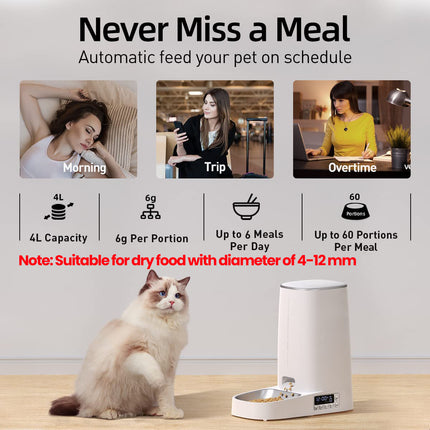 4L Automatic Pet Feeder