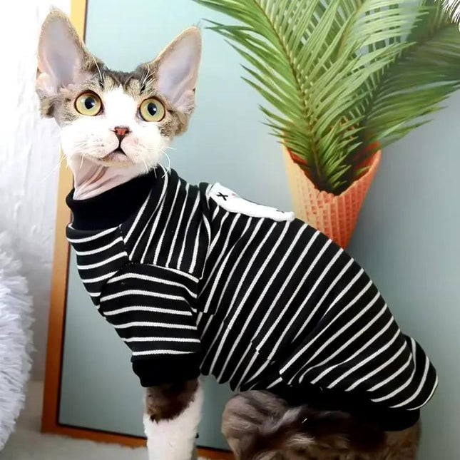 Vêtements mignons pour chats et petits chiens de printemps et d'automne